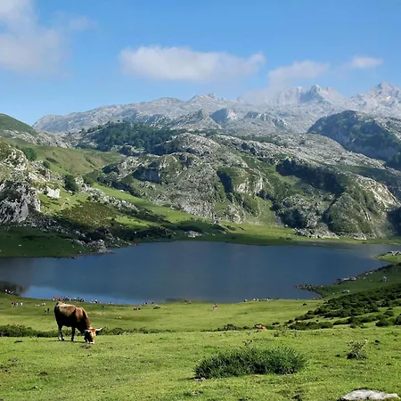 Picos De Europa Appartement Arriondas