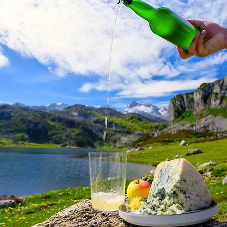 Apartament Picos De Europa Vut-2458-as *